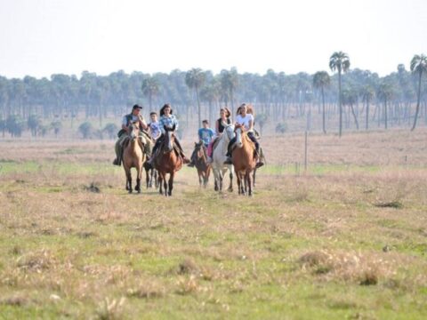 Carnaval 2026: Récord de 3 millones de turistas y un impacto económico de $1 billón