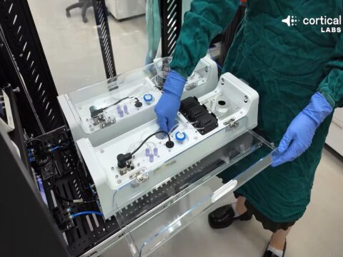 Cortical Labs desarrolla la primera computadora comercial basada en neuronas humanas