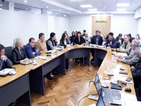 Avanza el análisis de la reforma previsional en comisión y convocan a sesiones ordinarias