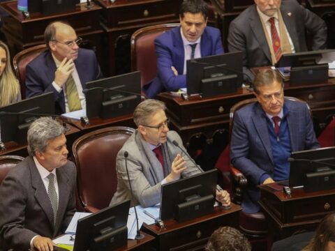 Senadores radicales resisten las colectoras y frenan el proyecto de reforma electoral